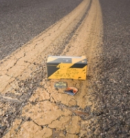 Picture of Porsche 911 Carrera S (992) 1:43 - Ltd.